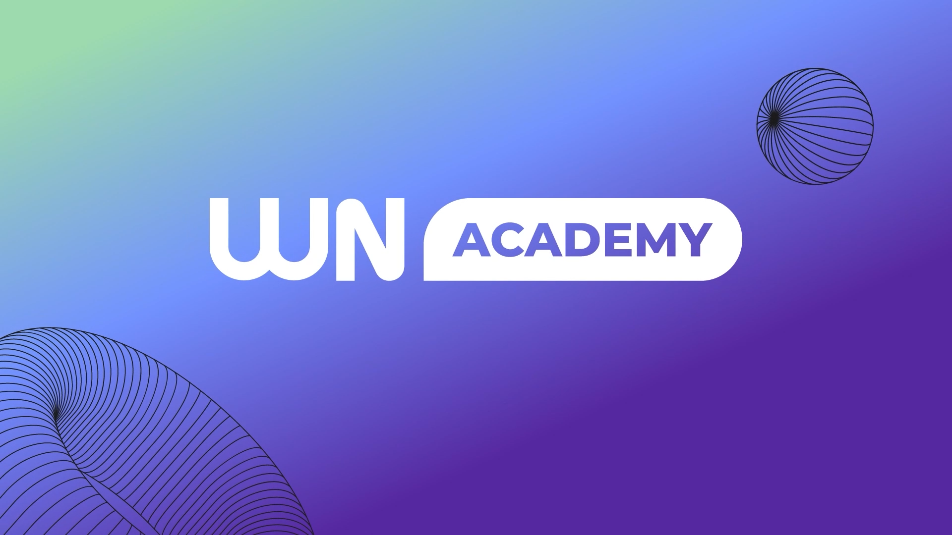 Wn Visual Design Corp. Visual production | WN Hub